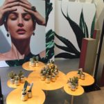 Cartier Show Room January 2017